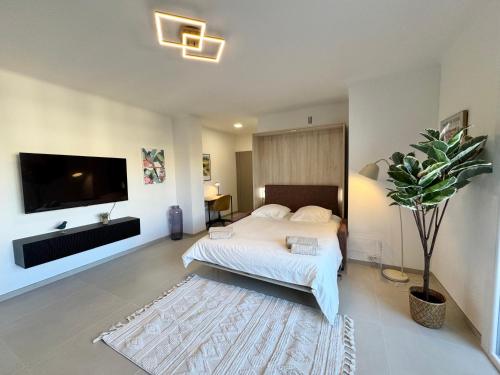 Le studio Prestige et Chic