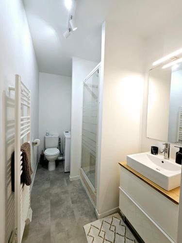 une salle de bain blanche avec un lavabo et des toilettes dans l'établissement Agréable appartement en centre-ville, à Angoulême