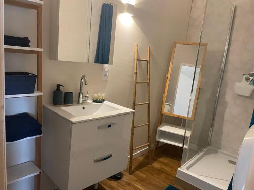 une salle de bain avec un lavabo et une douche dans l'établissement L'écolier futuroscope 4 personnes, à Beaumont