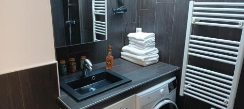 une salle de bain avec un lavabo et une machine à laver dans l'établissement Charmant appartement Avignon et Parking, à Avignon
