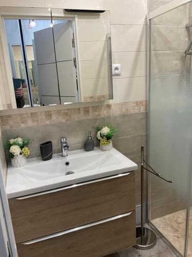 a bathroom with a sink and a shower at Studio coin nuit terrasse parking Clim in Nice