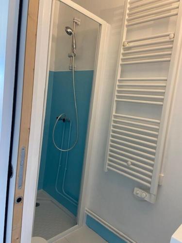 une salle de bain avec une douche avec une porte vitrée dans l'établissement Tamaris 51, à Quend-Plage