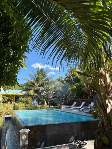a swimming pool in a resort with chairs and palm trees at Le Paradis de la Guadeloupe in Pointe-Noire