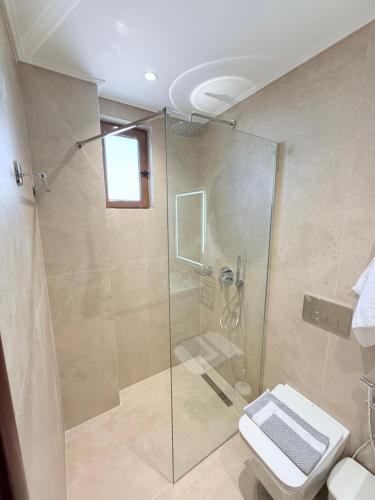 a bathroom with a glass shower with a toilet at Hotel Milo Ksamil in Ksamil