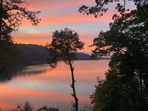 GlenvilleSecluded Lake Glenville Compound Prime Lake View 3 bedrooms的日落时分在湖中树