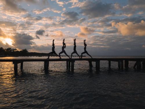 four giraffes walking on a pier in the water at Almare, a Luxury Collection Resort, Isla Mujeres, Adult All-Inclusive in Isla Mujeres