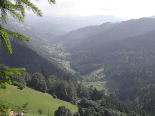 Un paisaje natural cerca del departamento