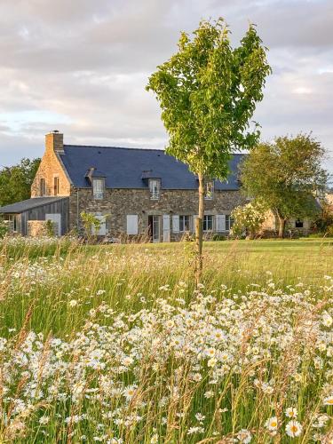 une maison dans un champ avec un arbre au premier plan dans l'établissement La Closerie, à Beaussais sur Mer
