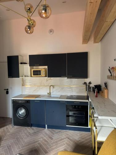 une cuisine avec un évier et un lave-vaisselle dans l'établissement MOON - 45, à Nice