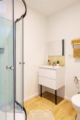 une salle de bain avec un lavabo et une douche dans l'établissement Studio Relax 2pers wifi, à Saint-Quentin