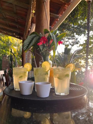 a table with four glasses of lemonade on it at Fauna in Praia do Bananal