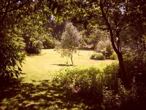 a grass field with trees and bushes in a park at Hotel & Apartamentos Cons da Garda in San Vicente de O Grove
