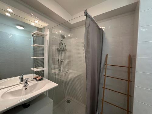 une salle de bain avec un lavabo et une douche dans l'établissement Appartement 2 pièces, 4 couchages L'Ile-Rousse, à LʼÎle-Rousse