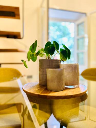 Bright and cozy duplex in the heart of Malaga
