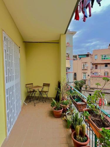 La Casa di Anna - Naples Central Flat - My Place
