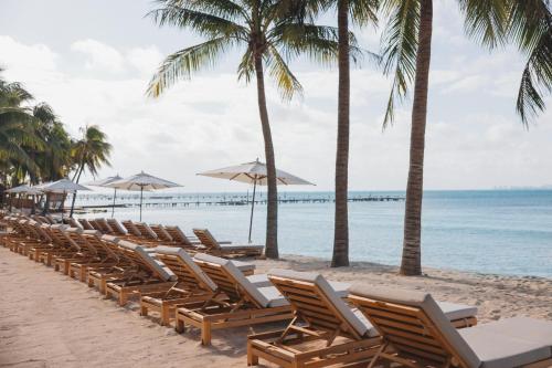 a row of chairs and umbrellas on a beach at Almare, a Luxury Collection Resort, Isla Mujeres, Adult All-Inclusive in Isla Mujeres