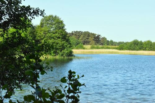 a view of a lake with trees in the background at Exklusivt boende intill skog, nära naturreservat in Löddeköpinge