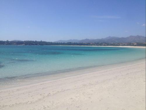 a beach with the ocean and mountains in the background at Trilocale delle Bouganville in Punta Molara
