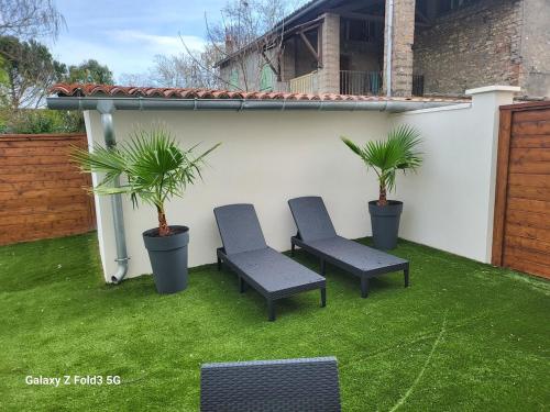 two chairs and two palm trees on a lawn at Petite maison cosy in Albi
