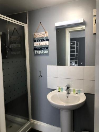 a bathroom with a sink and a shower and a mirror at Seale Arms in Dartmouth