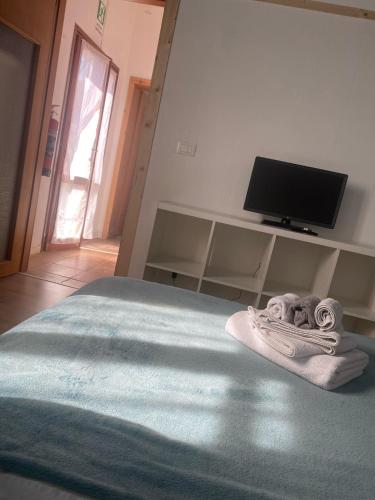 TV a/nebo společenská místnost v ubytování Pecore Ribelli