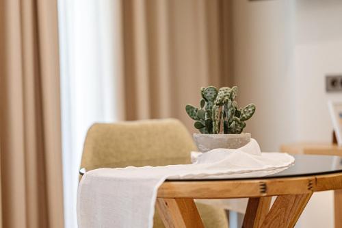 a table with a plant sitting on top of it at 1864 Apartments in Zakynthos