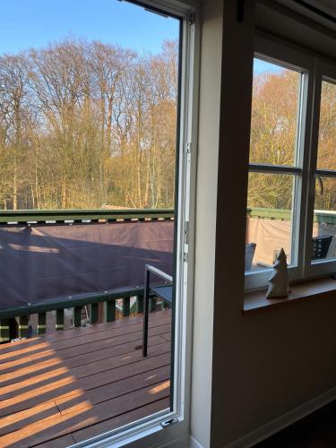 a view of a deck from a window with a cat sitting on it at Ferienapartment Am Urwald in Zetel