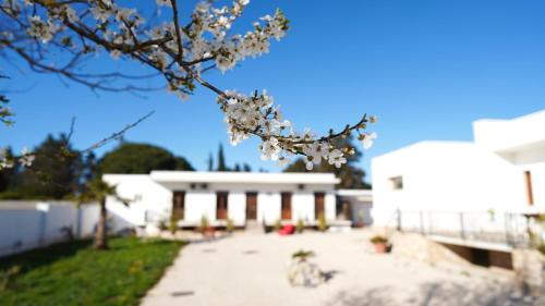 Foto Villa Mia 1