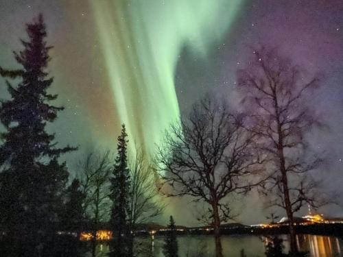 eine Aurora im Himmel über Bäume und Wasser in der Unterkunft Holiday Home Rukaniemen kontio by Interhome in Ruka