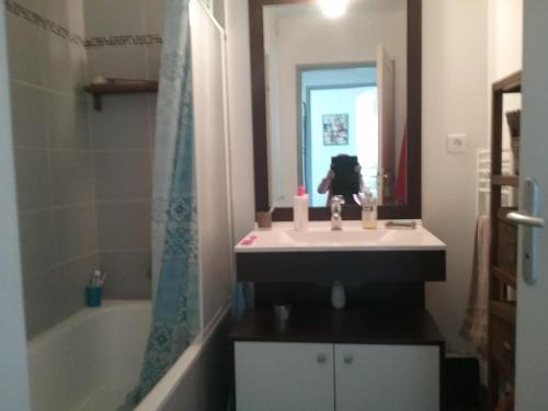 une salle de bain avec un lavabo, une baignoire et un miroir dans l'établissement Belle vue, à Marseille