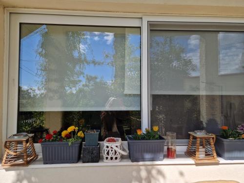 a window with three flower pots on a window sill at Anna's in Politiká
