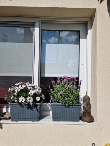 two pots of flowers sitting on a window sill at Anna's in Politiká