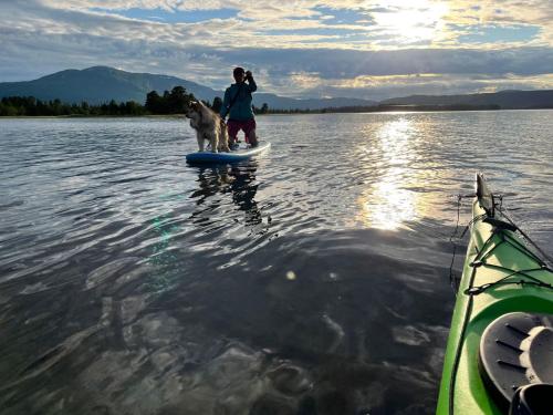 a person and a dog on a paddle board in the water at Apartment Trillevallen 5 by Interhome in Trillevallen
