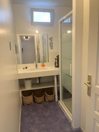 une salle de bain avec un lavabo et une douche dans l'établissement Ty bihan glas, à Paimpol