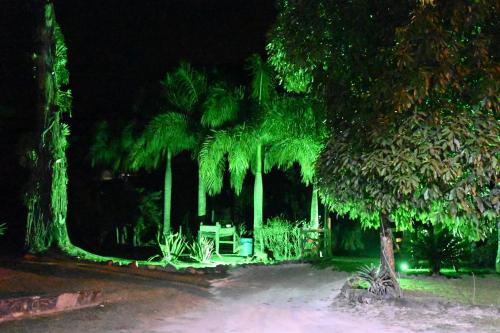 a park at night with a table and palm trees at Tangaras da Serra in Macaé