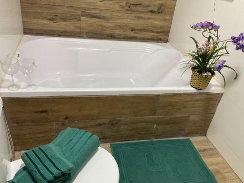 a bathroom with a tub and a toilet and a green rug at Espaço Alvorada com Banheira ,agendamento das atividades, café da manhã no centro in Brotas