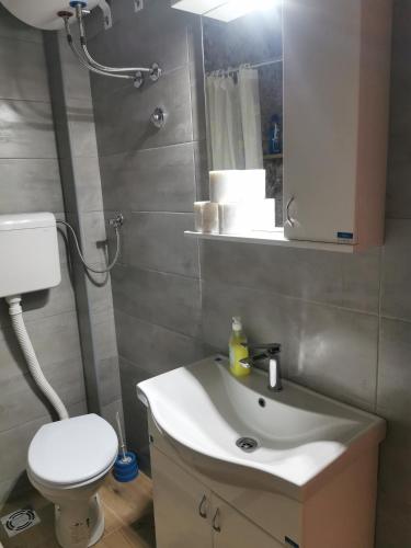 a bathroom with a sink and a toilet and a mirror at Apartmani Manila, Vrnjačke terme-popust, SPA centar Pegaz-popust, garažno mesto in Vrnjačka Banja