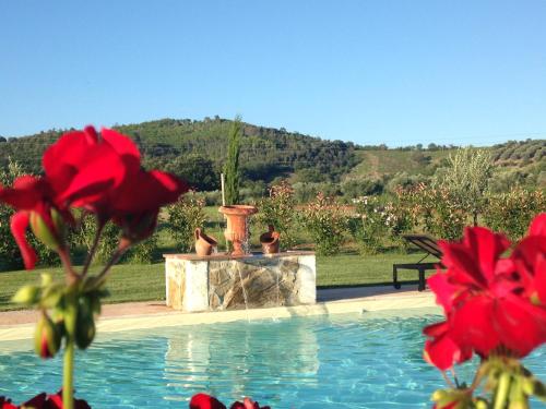 a swimming pool with a fountain and red flowers at Tonini House in Casa Cavallini