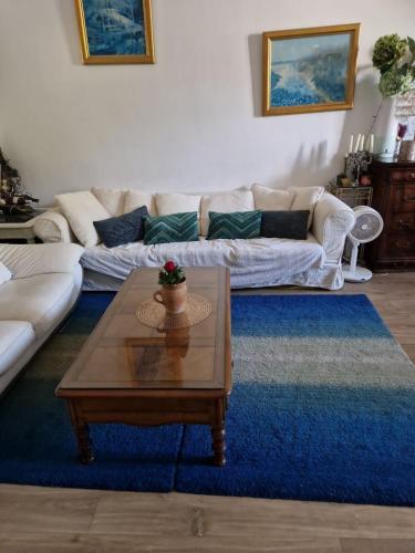 un salon avec un canapé et une table basse dans l'établissement Maison tranquille dans centre ville, à Périgueux