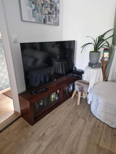 un salon avec une grande télévision à écran plat dans l'établissement Maison tranquille dans centre ville, à Périgueux