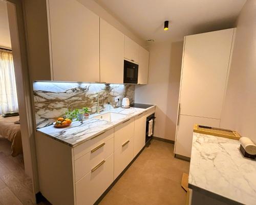 une petite cuisine avec un évier et un comptoir dans l'établissement Paris Centre - Village Daguerre, Montparnasse, à Paris