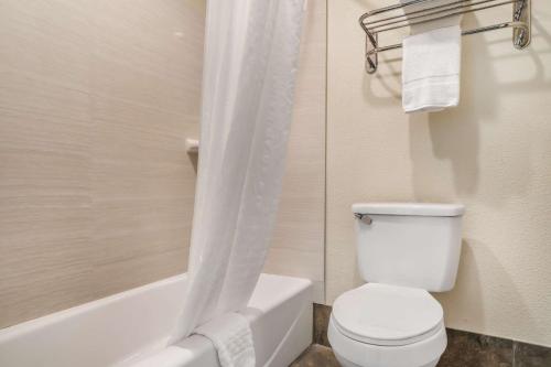 Best Western Padre Islandにあるバスルーム