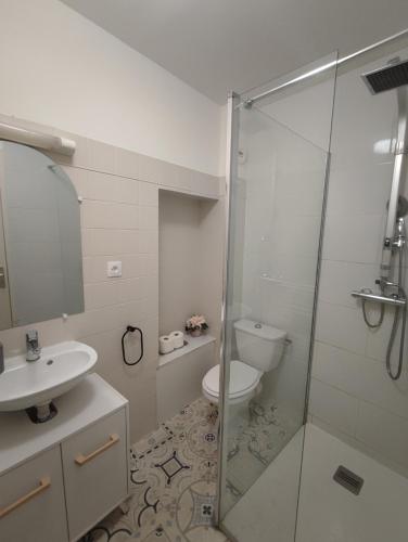 a bathroom with a shower and a toilet and a sink at Ô petit cocon in Albi