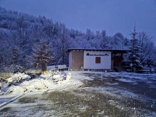 Το Chalet Glasul Padurii τον χειμώνα