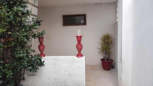 Φωτογραφία από το άλμπουμ του Studio 1 chambre climatisé en camargue σε Vauvert