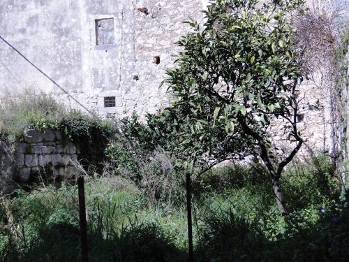 Φυσικό τοπίο κοντά σε αυτό το διαμέρισμα