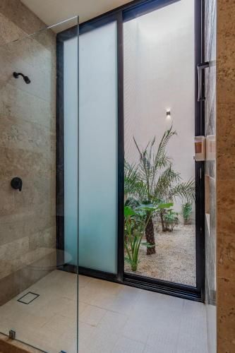 a glass shower door in a bathroom with a plant at Casa Cardenales in Mérida