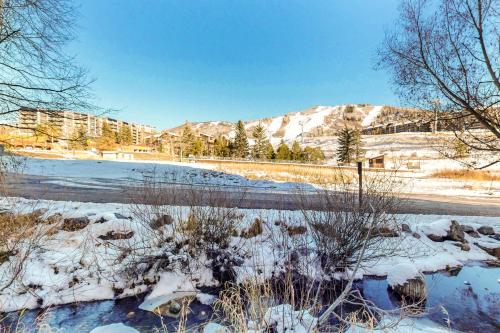 a snow covered field with trees and mountains in the background at Torian Plum in Steamboat Springs