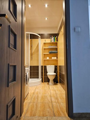 a bathroom with a toilet and a walk in shower at Pokoje gościnne in Pasłęk