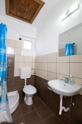 a bathroom with a toilet and a sink at Casa Zsolt Vendégház in Sovata